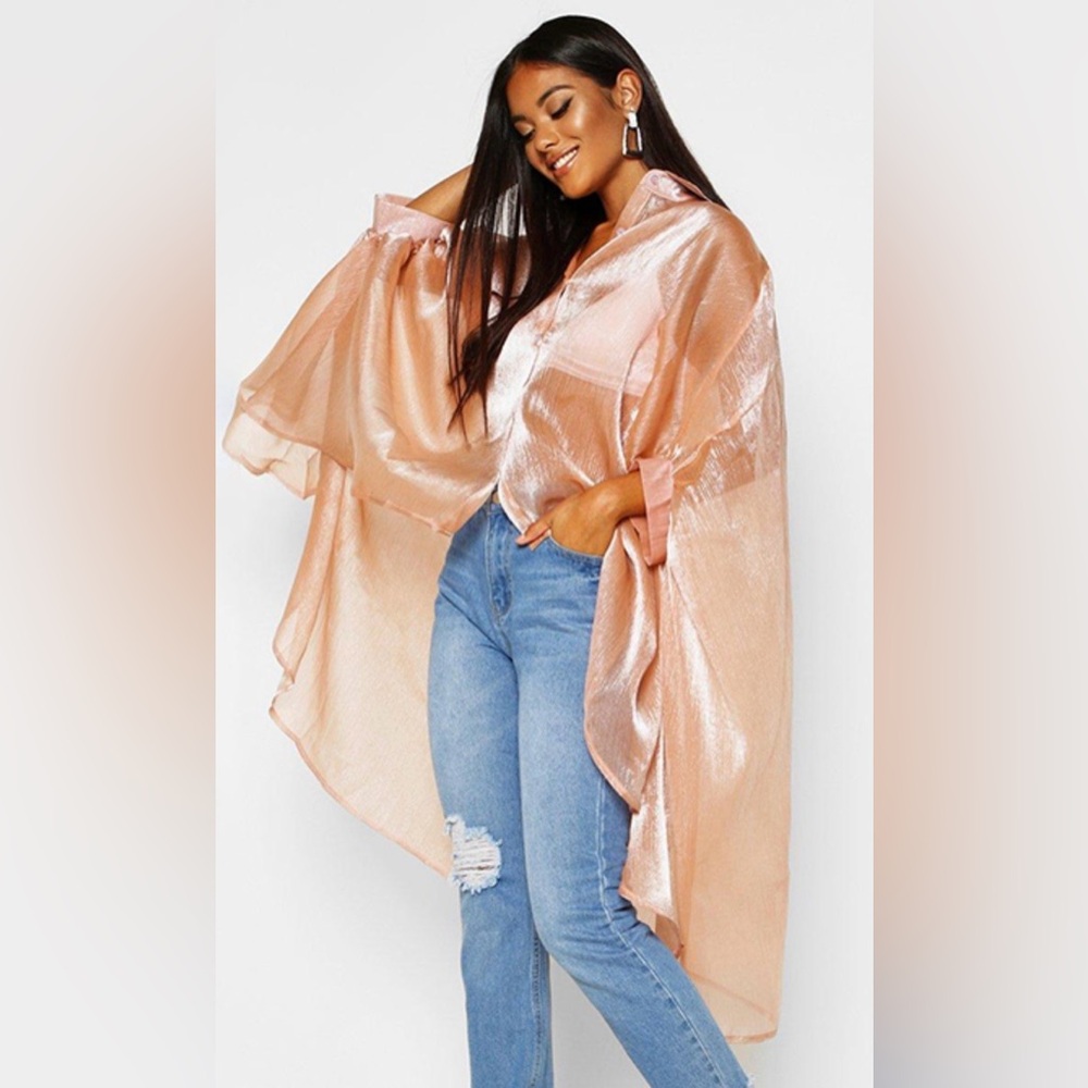 Sheer Metallic Oversized Organza Blouse - Brand New Never Worn has extra button
